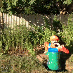 source.gif