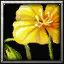 icons_1041_btn.jpg
