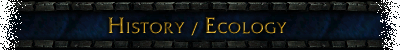 race-history.gif