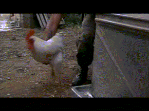 214624.gif