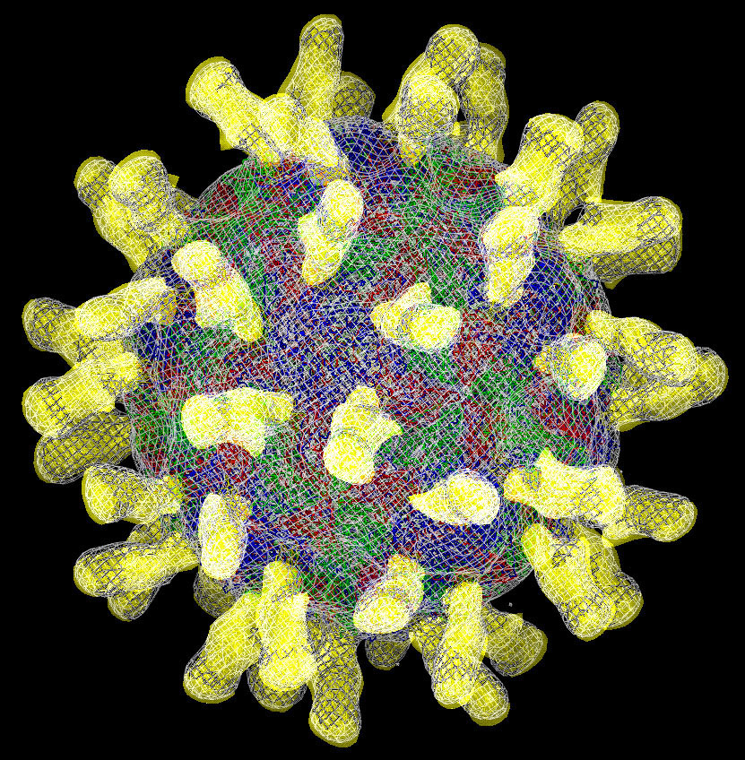 Респираторные вирусы гриппа. Риновирус возбудитель. Вирус риновирус. Вирус ОРЗ под микроскопом. Энтеровирус под микроскопом.