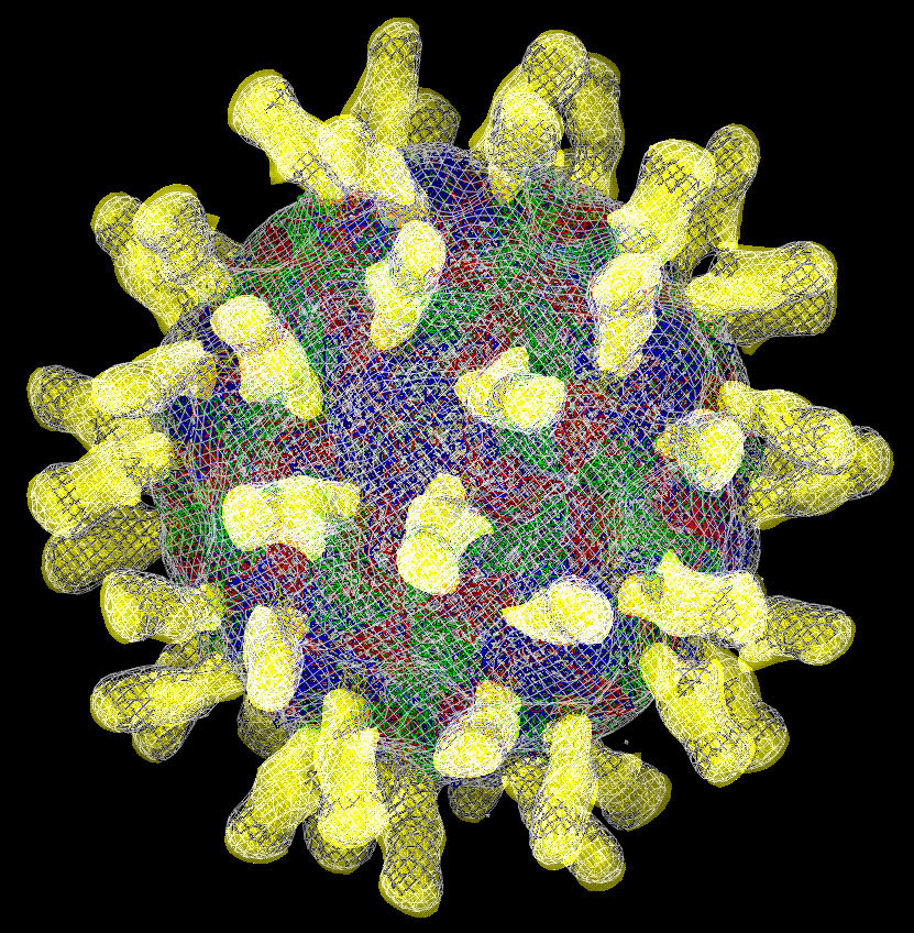 virus-701941.jpg