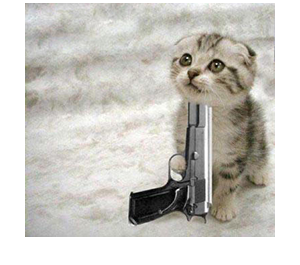 cat_wi_gun.png