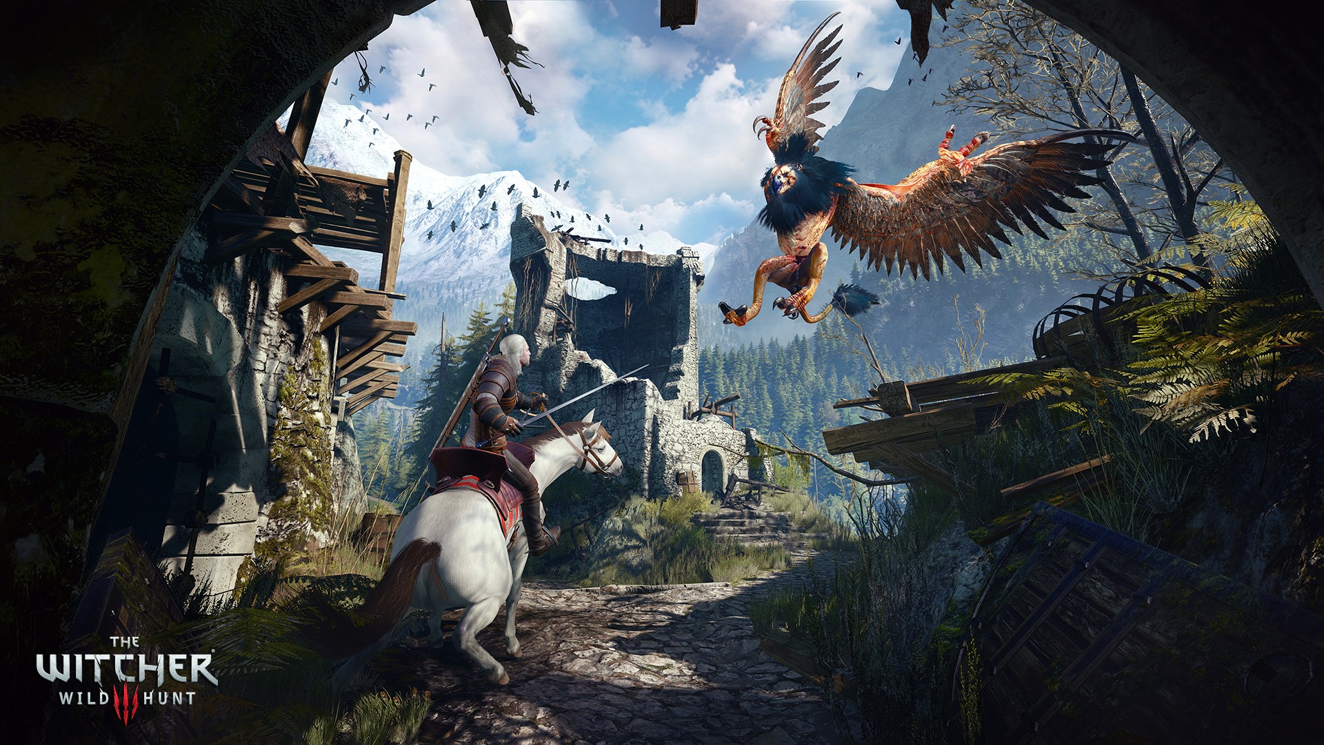 the-witcher-3-wild-hunt-image-24.jpg