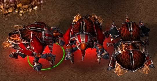 SkinProcess.jpg