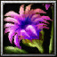 icons_1038_btn.jpg