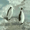 penguin-slap.gif