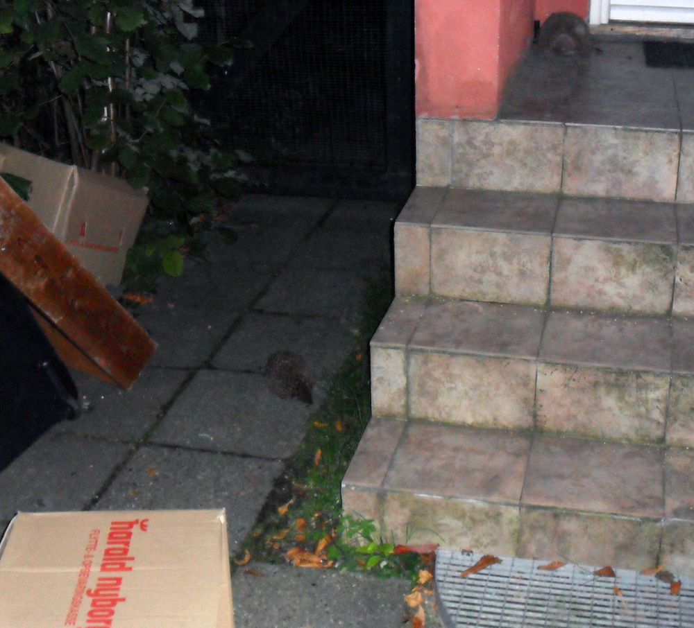 131841-albums383-picture74519.jpg