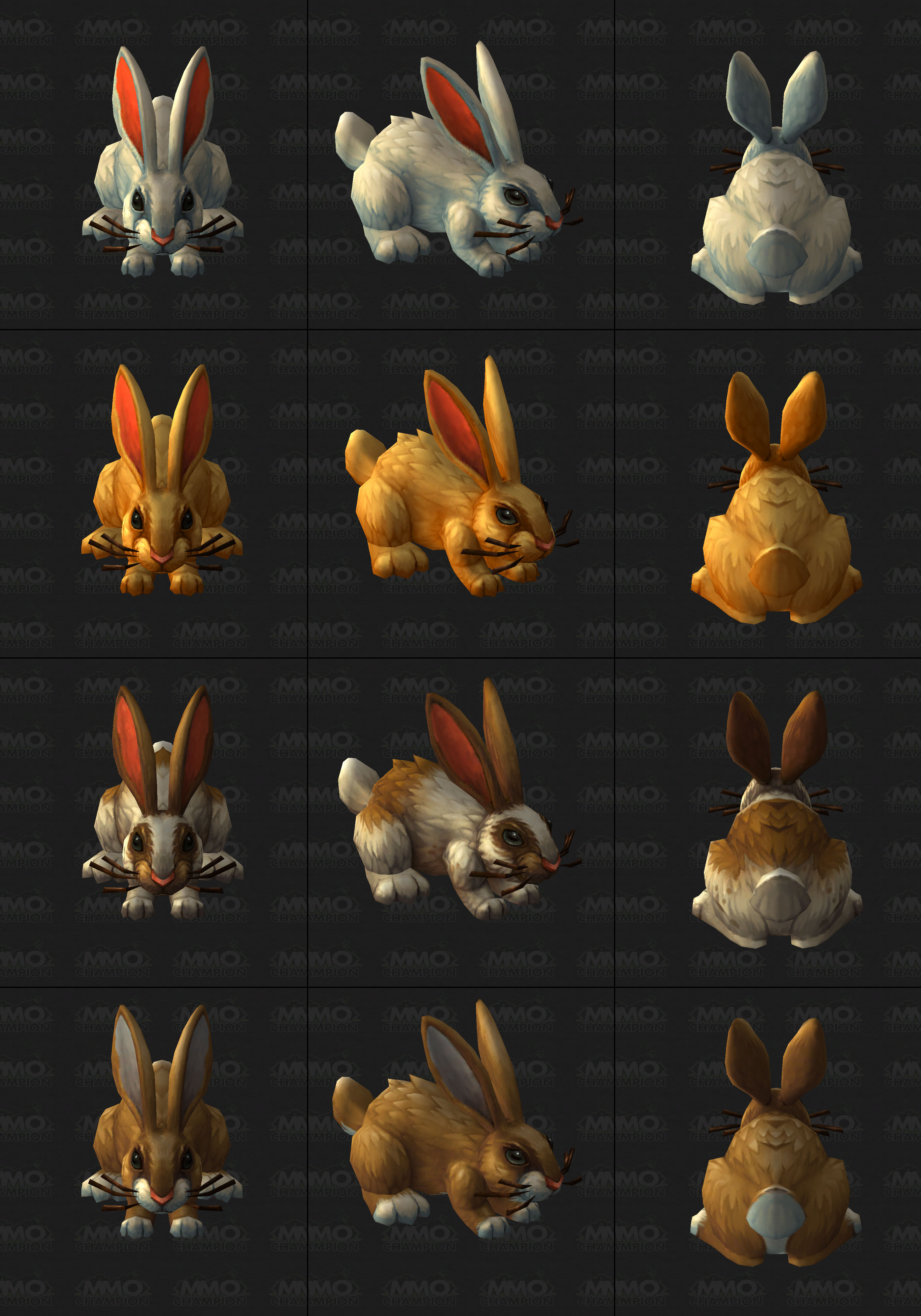 Rabbit2.jpg