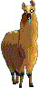 Tard_Llama_by_BurgerBunny.gif