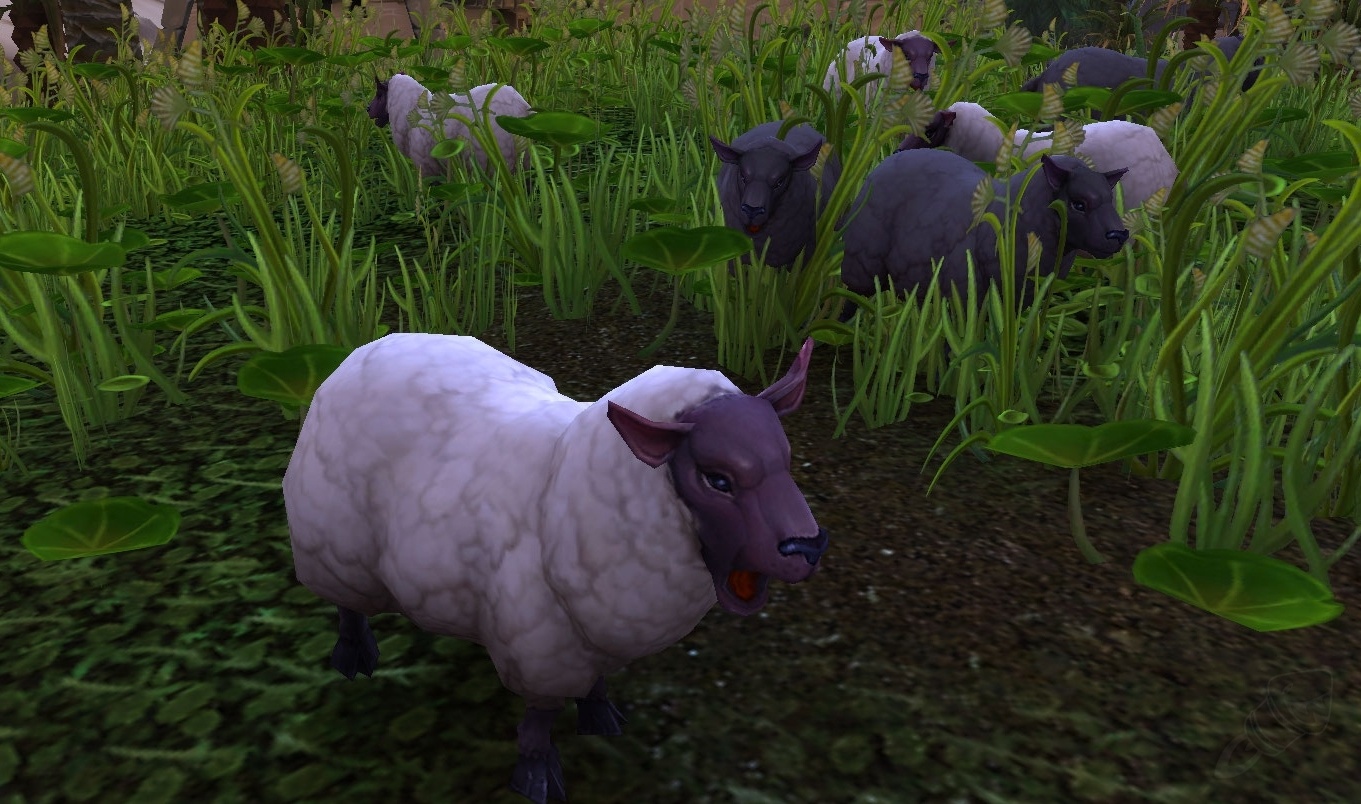 www.wowhead.com