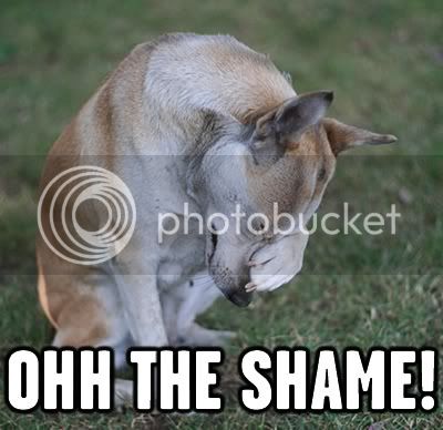 OhTheShame.jpg