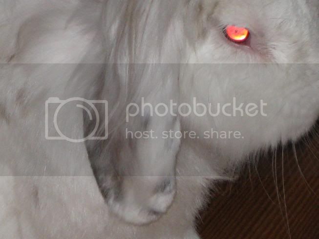 KrijnPossessed.jpg
