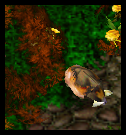 eZQv7Aw.png