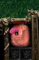 stomach.jpg