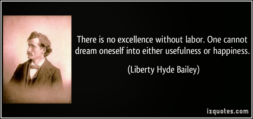 quote-there-is-no-excellence-without-labor-one-cannot-dream-oneself-into-either-usefulness-or-happiness-liberty-hyde-bailey-10080.jpg