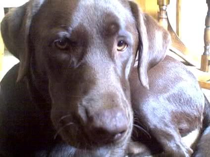 Apr022007-VID00001-3.jpg