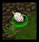 TpW0AVv.png