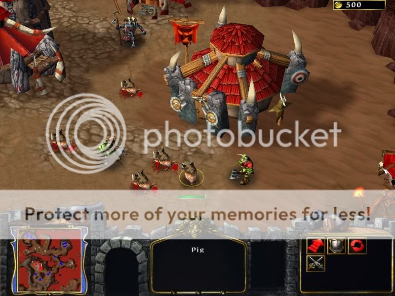 ss11-800.jpg