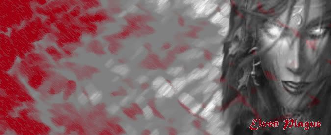 newbanner.jpg