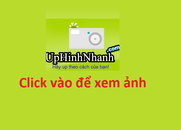 3338f20a.png