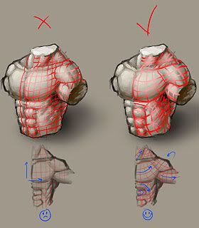 topology.jpg