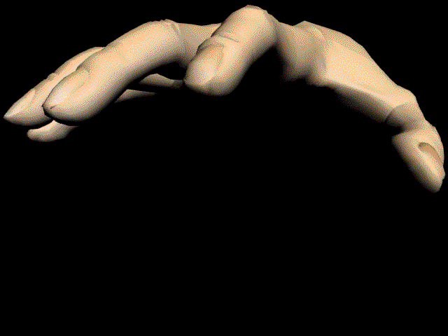 hand3dsm.gif