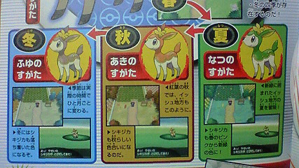 shikijika-forms.jpg