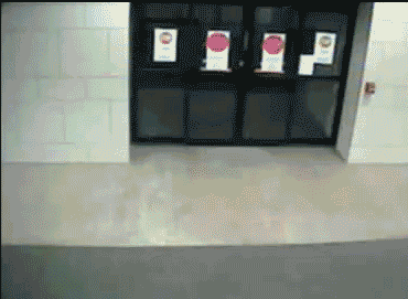 S9F1qDB.gif