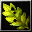 icons_918_btn.jpg