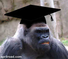 Smart-Ape.jpg