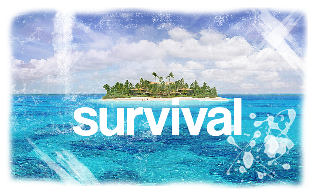 MMC10SurvivalEdited.jpg
