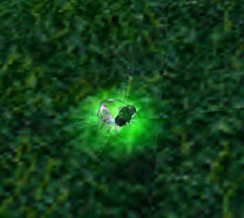 models_5915_screenshot.jpg