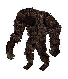 yeti.jpg