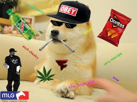 hqdefault.jpg