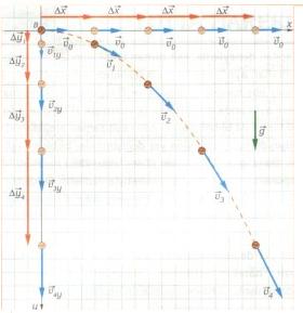 yat1.jpg