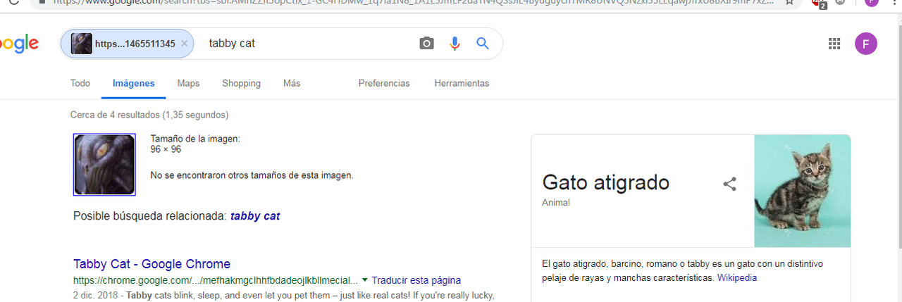 Googlewhat.png