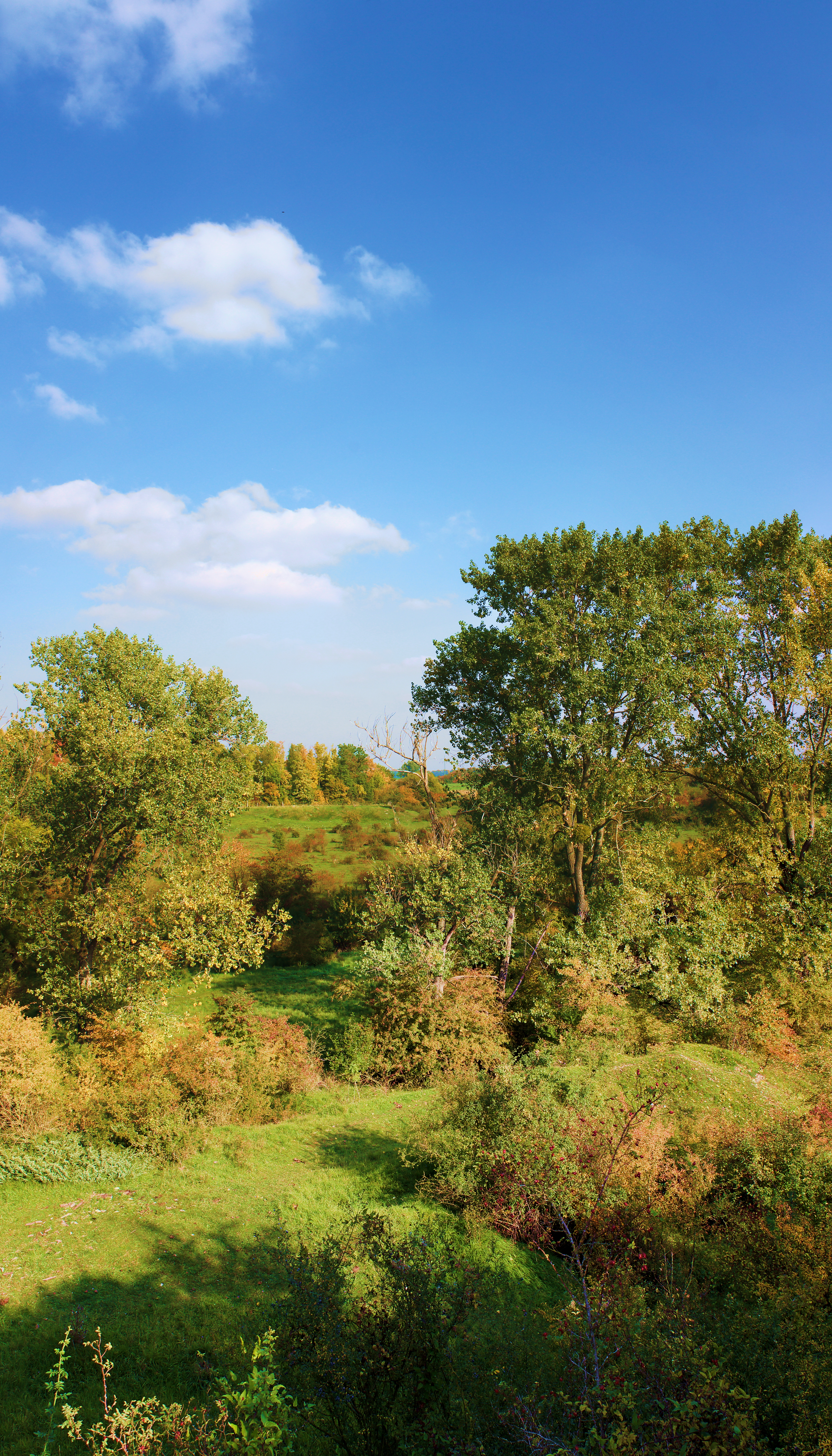 Pöppelsche%20Panorama35.jpg