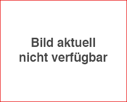 MTSQE.jpg