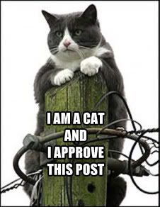 approvethispost.jpg
