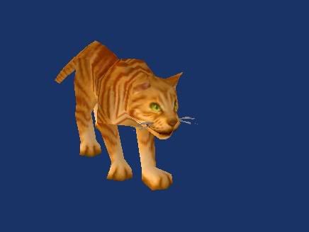 cat.jpg