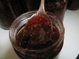 lovelyfigjam.jpg