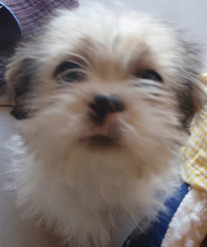 140431-albums1632-picture32805.jpg