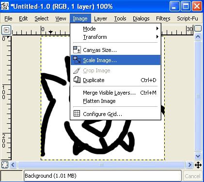 gimp1.jpg