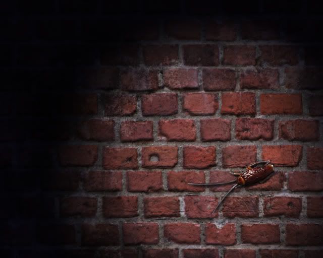 final_composite.jpg