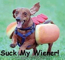 wiener.jpg