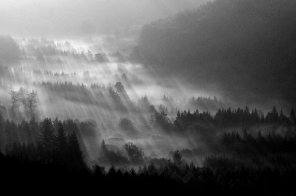 mist19.jpg