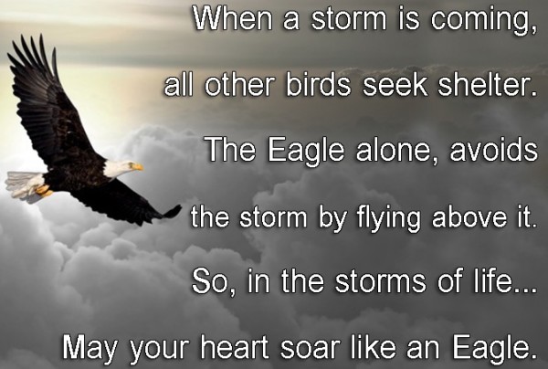 EmilysQuotes.Com-life-storm-eagle-inspirational-motivational-amazing-great-encouraging-courage-unknown.jpg