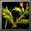 icons_940_btn.jpg