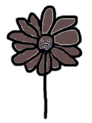 x3KhiS7.png